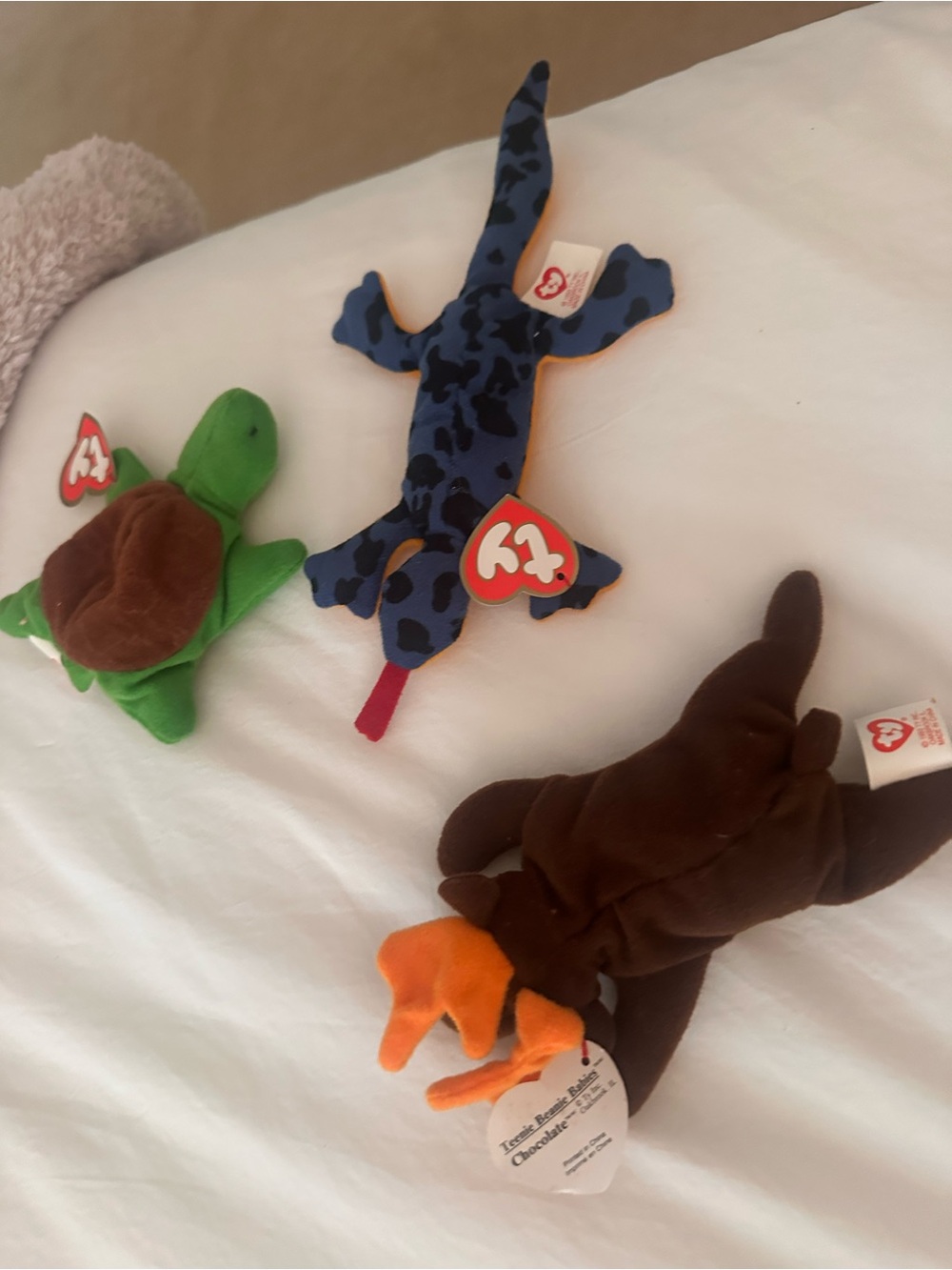 Ty Plush Trio: Speedy the Turtle, Sly Lizard, Chocolate Brown Moose
